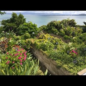 Meet your Posher, Ashlee